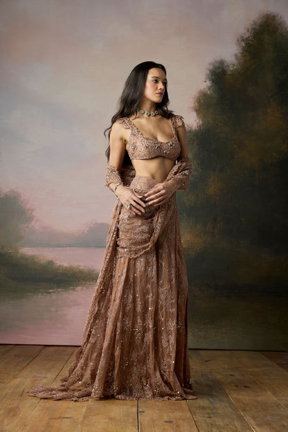Liora Saree
